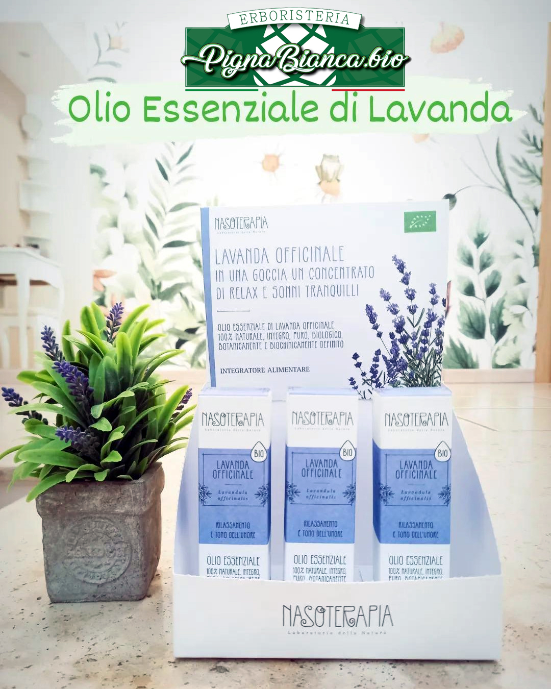 PignaBianca.bio-Olio-Essenziale-di-Lavanda.jpg